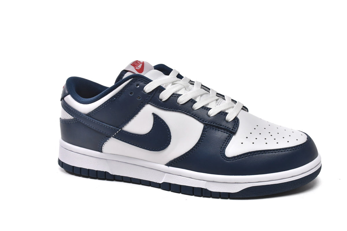 Nike Dunk Low Valerian Blue